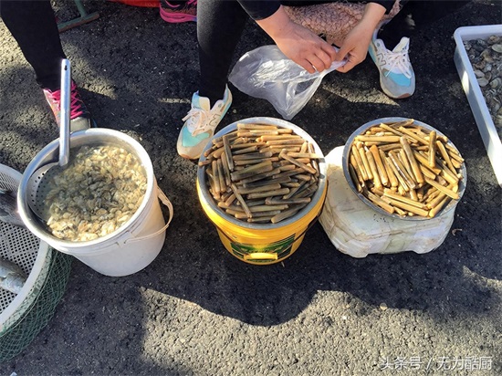 食神必逛！海鲜市场“鲅鱼圈”