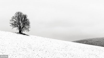 ​关于冬天的简笔画图片大全！雪人雪山应有尽有