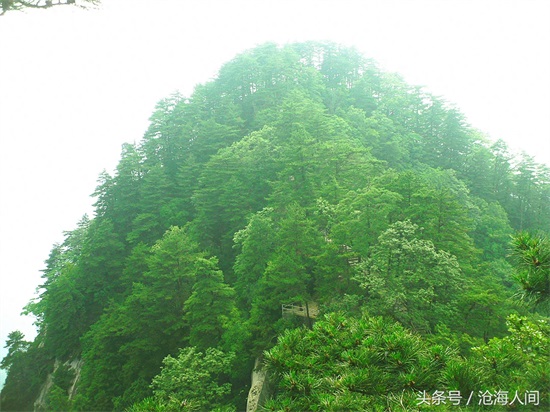 南阳内乡宝天曼风景区