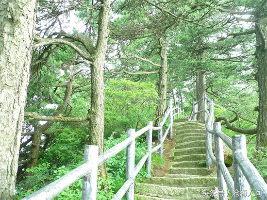 南阳内乡宝天曼风景区