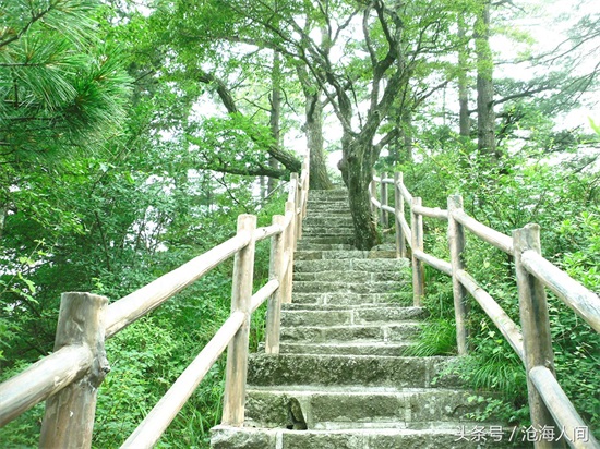 南阳内乡宝天曼风景区