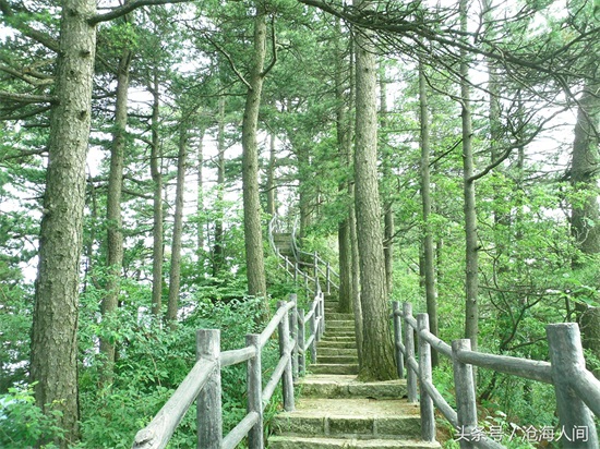 南阳内乡宝天曼风景区