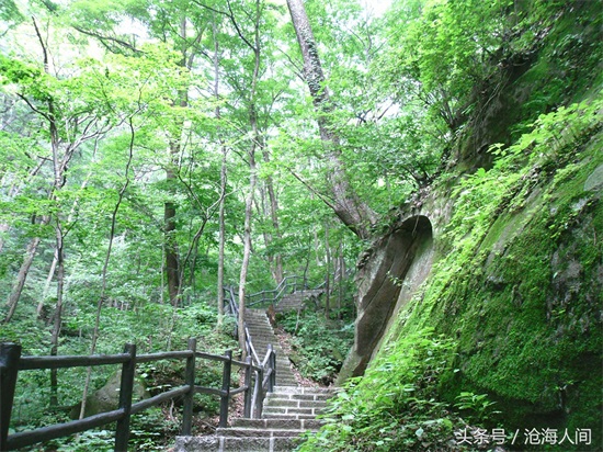 南阳内乡宝天曼风景区