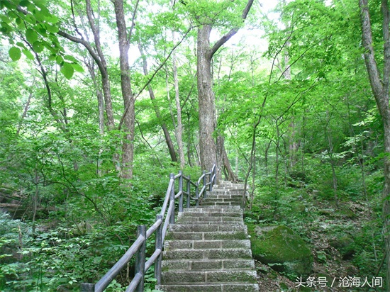 南阳内乡宝天曼风景区