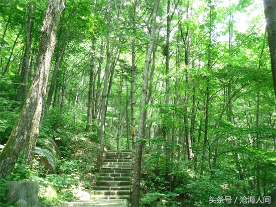 南阳内乡宝天曼风景区