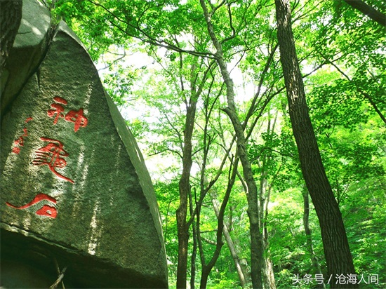 南阳内乡宝天曼风景区