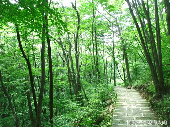 南阳内乡宝天曼风景区