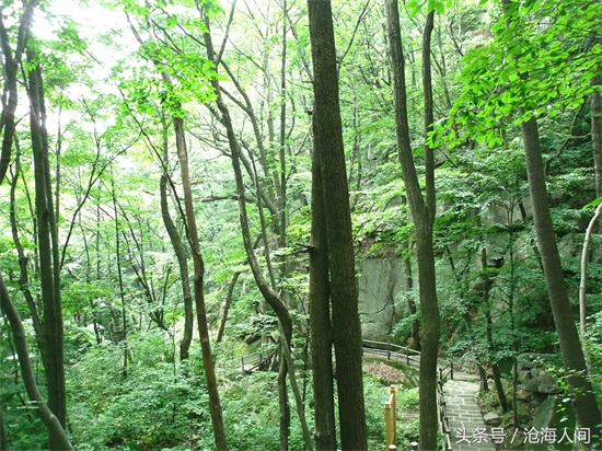 南阳内乡宝天曼风景区