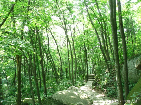 南阳内乡宝天曼风景区