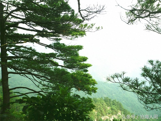 南阳内乡宝天曼风景区