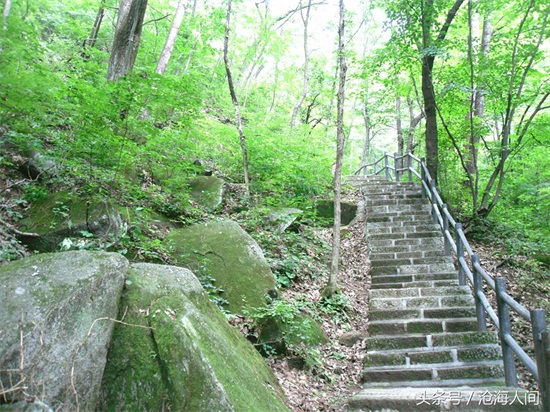 南阳内乡宝天曼风景区