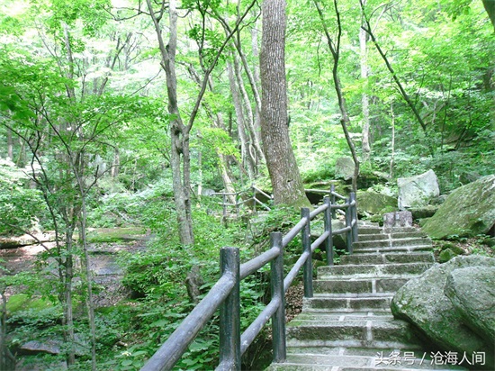 南阳内乡宝天曼风景区