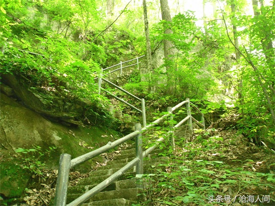 南阳内乡宝天曼风景区